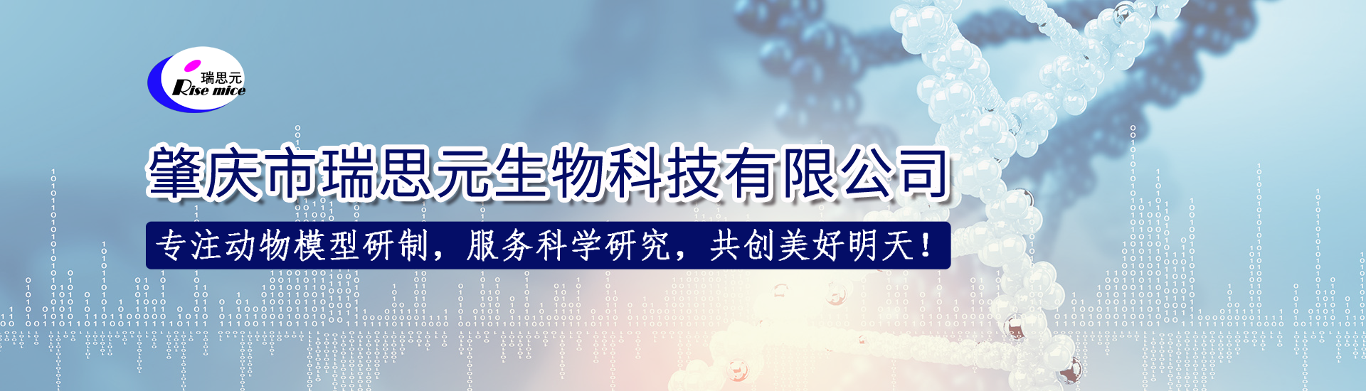 10年的堅(jiān)持,不斷的創(chuàng)新