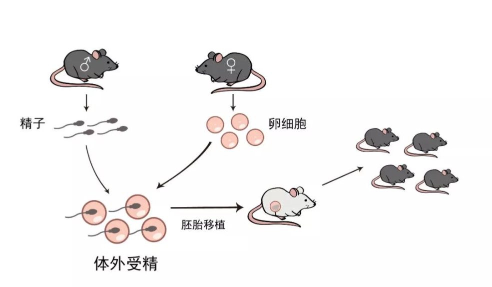 圖片關鍵詞 圖片關鍵詞