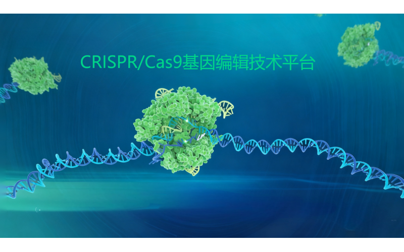 CRISPR/Cas9基因編輯技術平臺